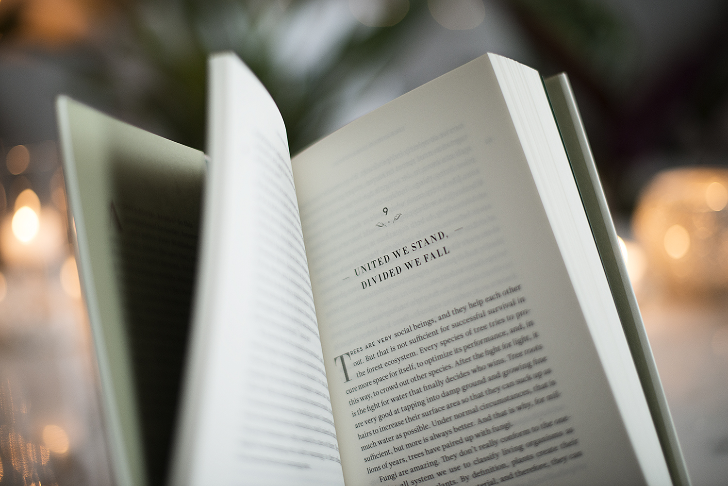 BOOK REVIEW THE HIDDEN LIFE OF TREES BY PETER WOHLLEBEN  The Book Castle