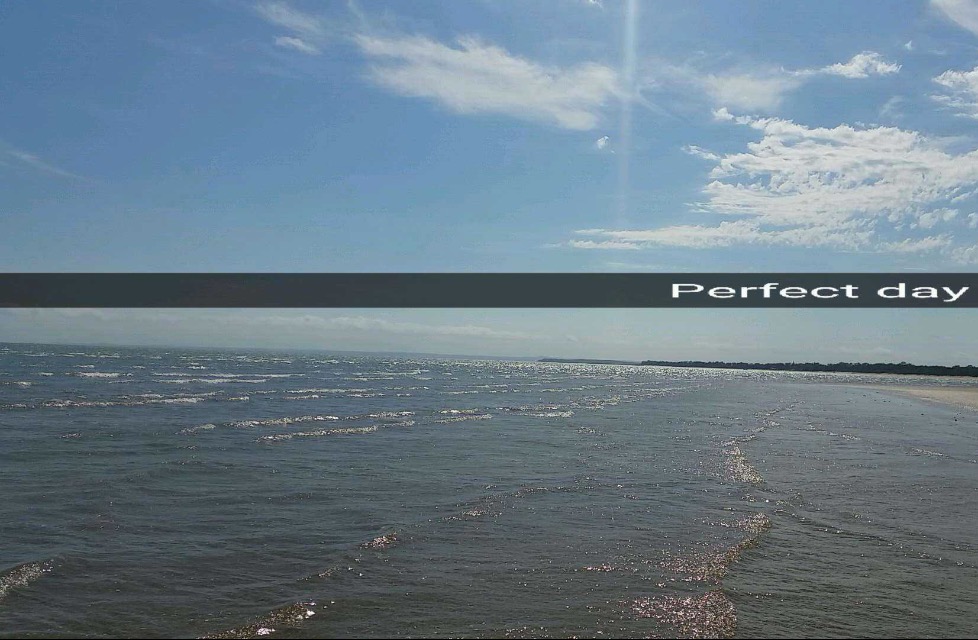 Rose and Her Lily Lily Remembered at Hervey Bay