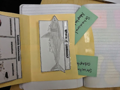 Make things out of an envelope Make things out of an envelope