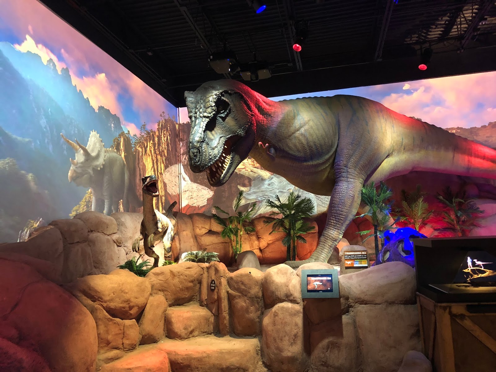 Caleb and Nana's Adventures The Greensboro Science Center in Greensboro NC