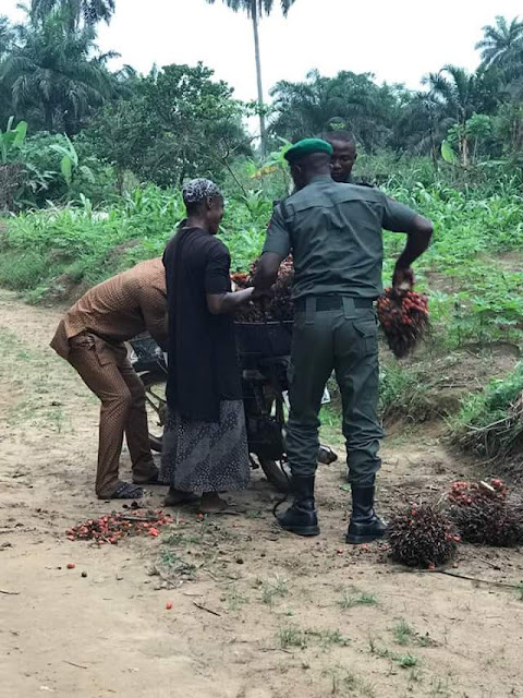 Heartwarming photos of Nigerian policemen helping an old woman tie her palm fruit bunches to a bike after they fell of