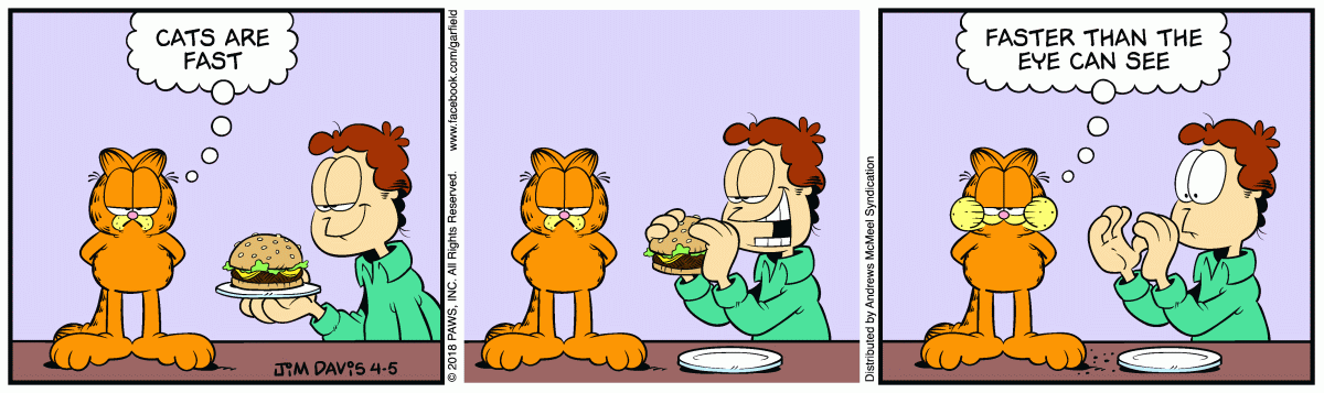 Quadrinho do Garfield traduzido com gabarito