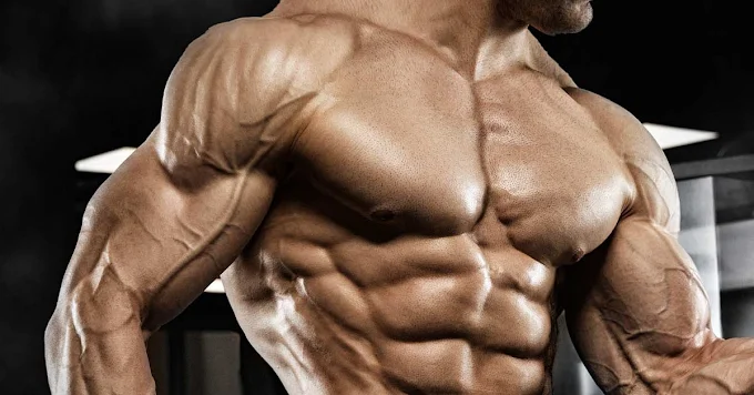 A 28 Days Shredded Lean Muscle Diet plan you should follow A 28 Days Shredded Lean Muscle Diet plan you should follow