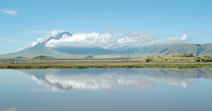 lake natron turns animals to stone lake natron turns animals to stone