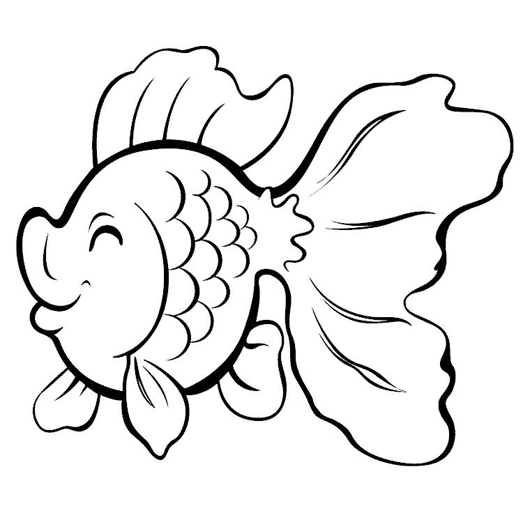 Gambar Ikan Mas Koki Gambar Ikan Mas Koki