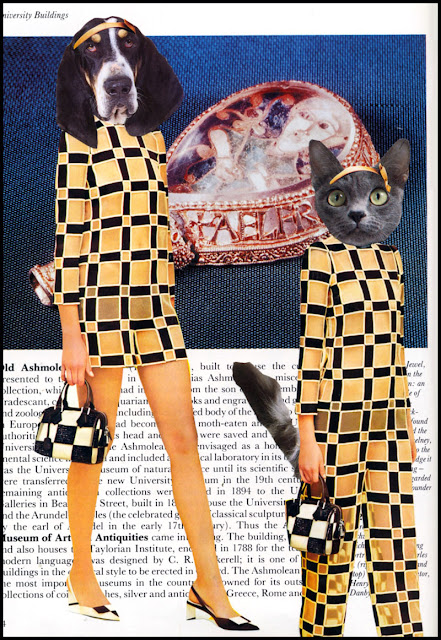 Cat collage by Claudia Mazzie-Ballheim