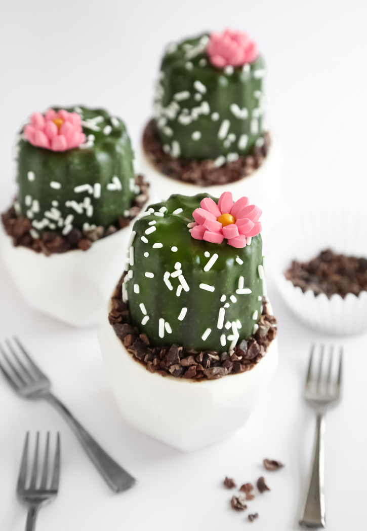 Mini Potted Cactus Cakes Sprinkle Bakes
