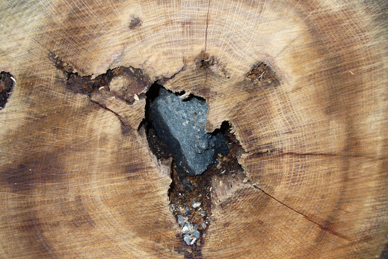 Welcome to Katfrog's Corner Wordless Wednesday How Did the Rock Get