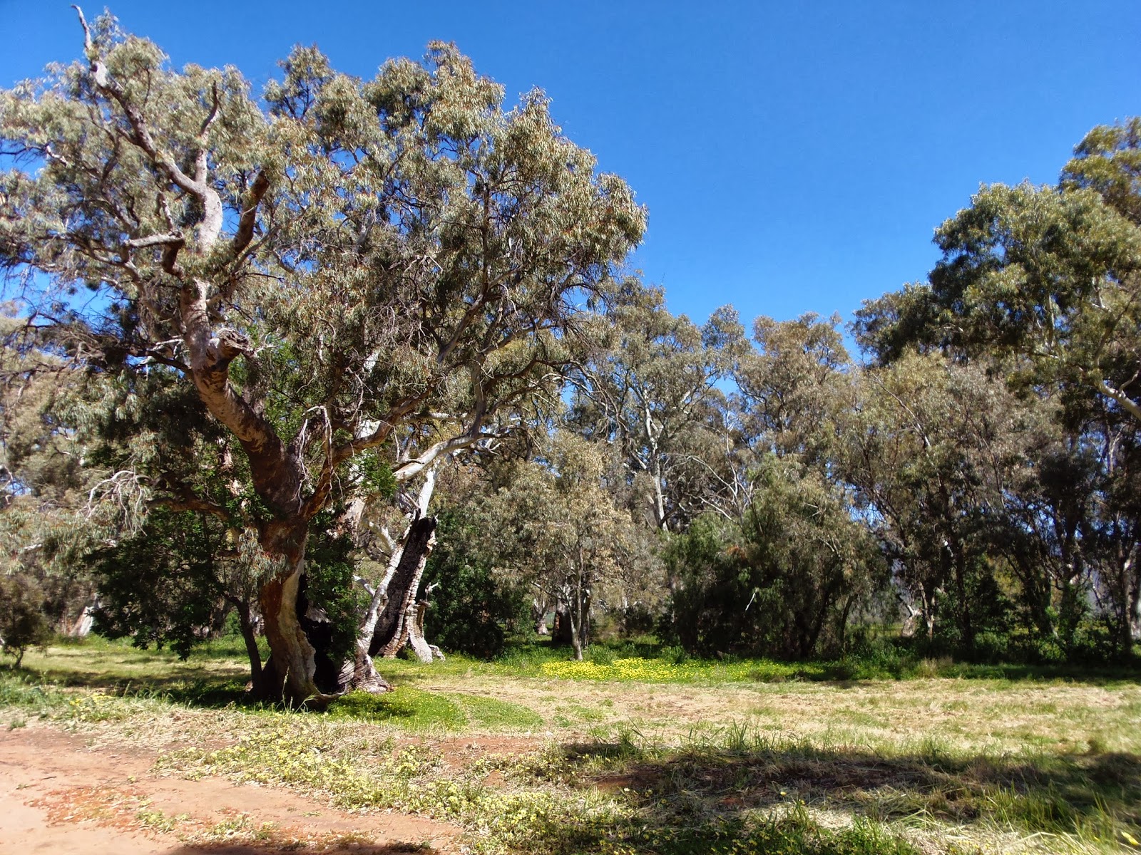 Solo Steve On The Road: TO QUORN SA and the FLINDERS RANGES