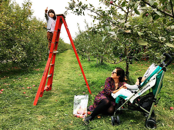5 Tips for Apple Picking With Kids