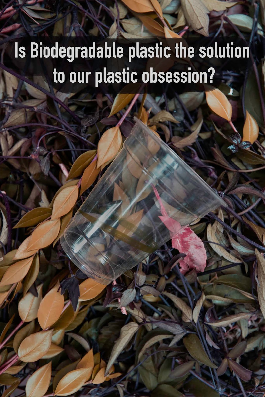 Are biodegradable plastics the solution to our plastic obsession?