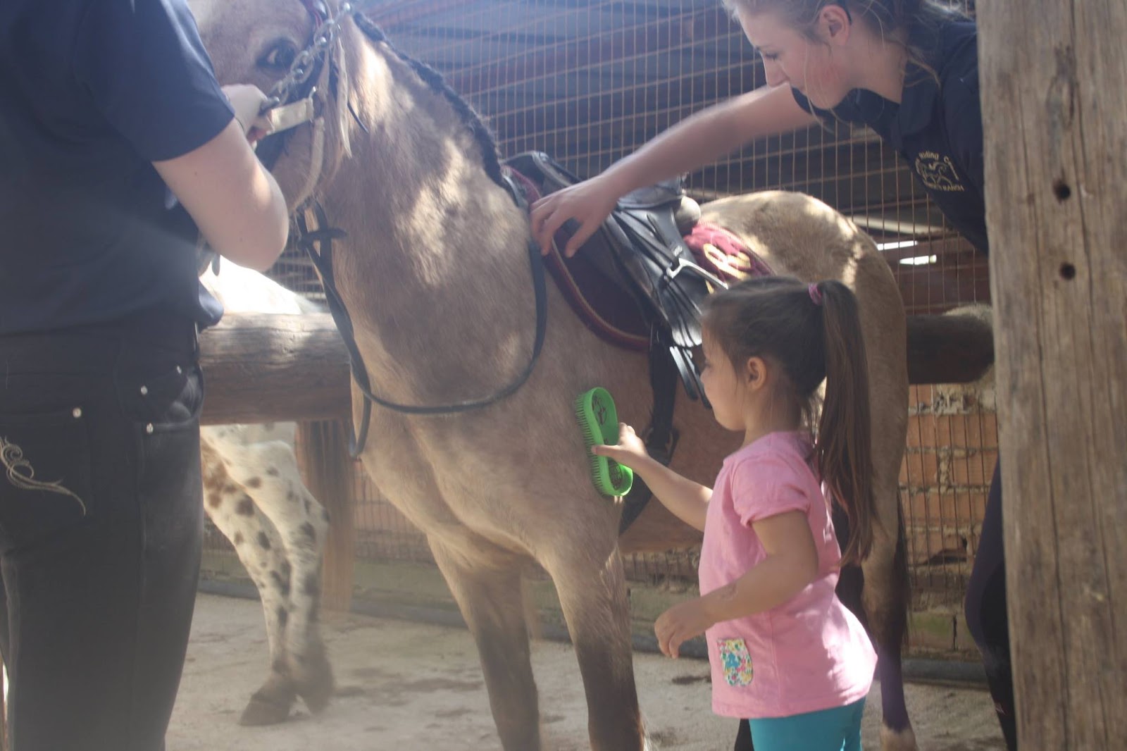 Kids have Fun in Cyprus Ranch Horse Power for kids!