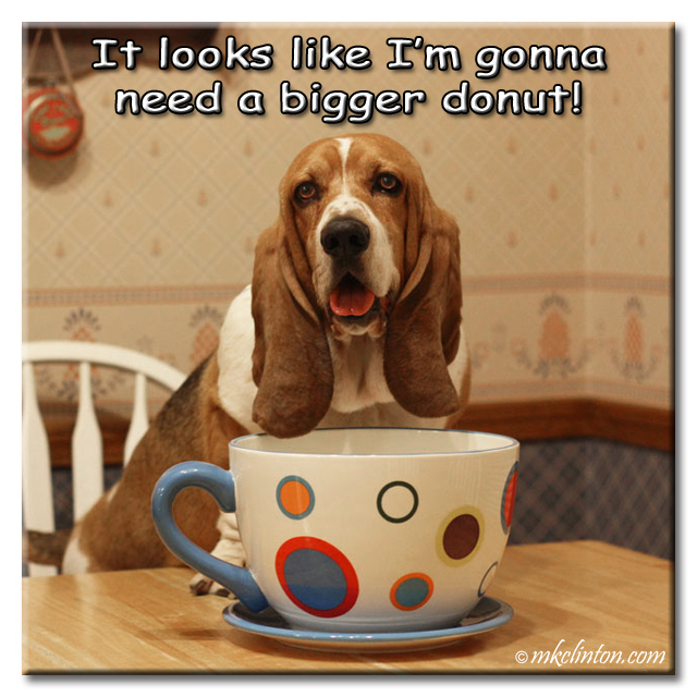 Bentley Basset Hound meme "I'm gonna need a bigger donut."