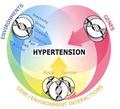 atoris i hipertenzija kako snizit visok pritisak