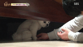 003.gif