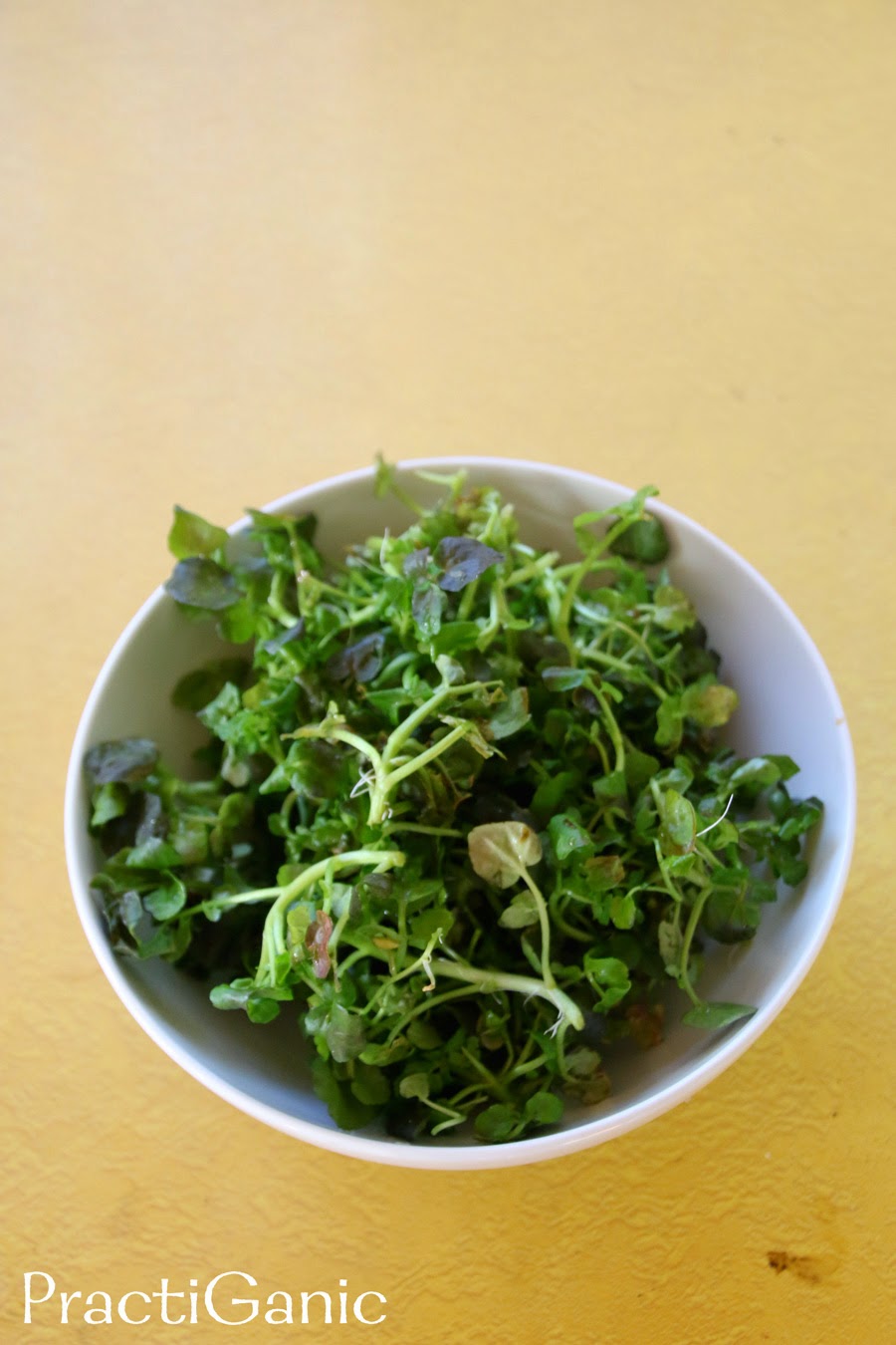 Watercress Wake Up Juice