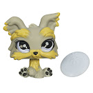 Littlest Pet Shop Singles Yorkie (#883) Pet