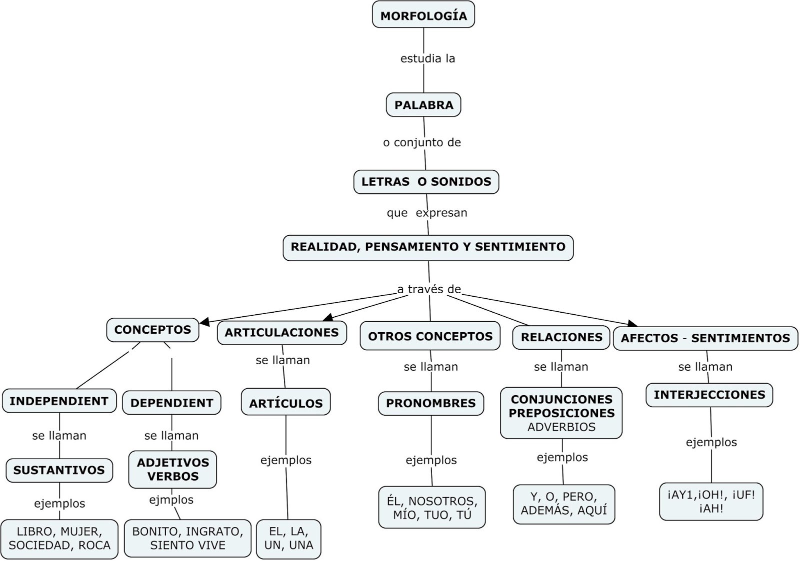 POSA TUS OJOS EN LA LECTURA TEORÍA DE LAS SEIS LECTURAS MORFOLOGÍA Y