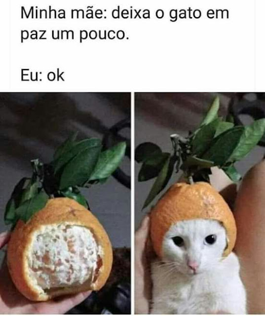 Memes+engra%25C3%25A7ados++%252816%2529.