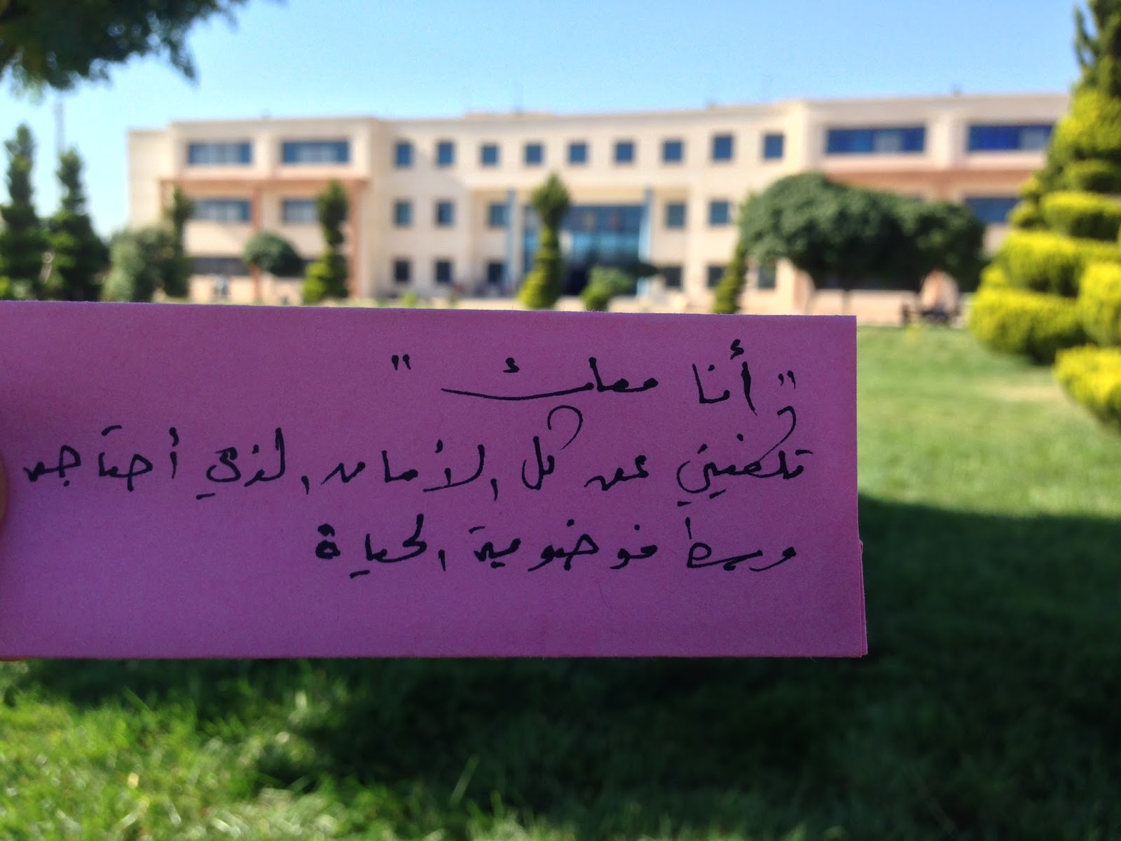 صور جامعة ايبلا قصاصات ورقية اقرأ روايتك