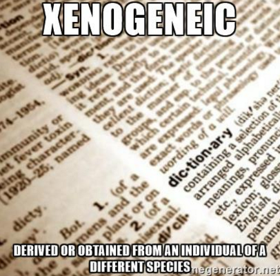 Xenogeneic definition meme