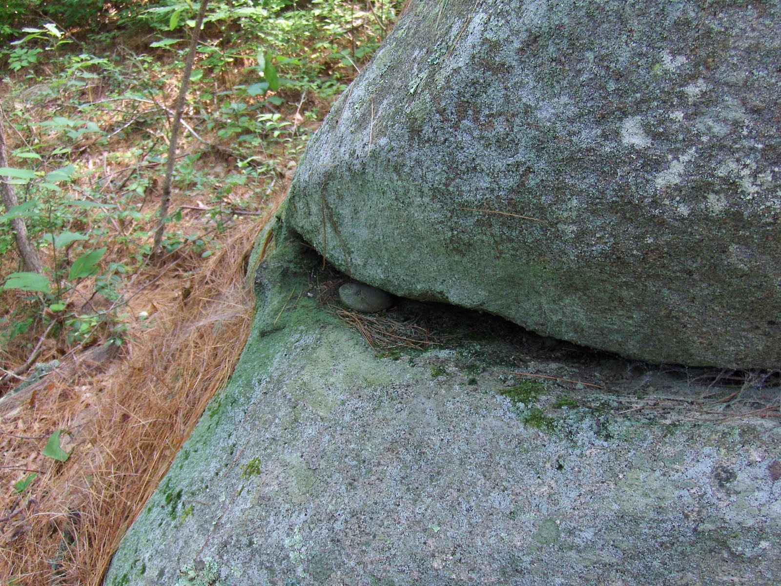Rock Piles Revisiting kettle holes