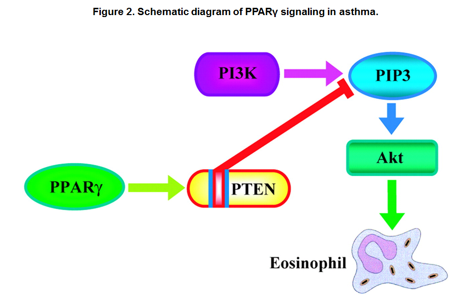 Epiphany: Statins for Cancer and Autism? Another case for PTEN?