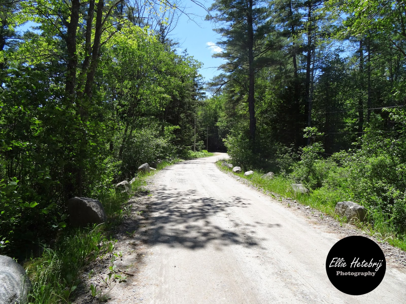 Ellie Hetebrij, The Photographer 350 Island Pond Road