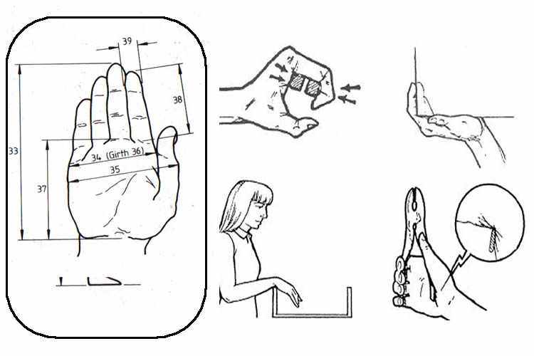 Ergonomi Ve Antropometri Nedir Teknoloji Ve Tasarim Teknoloji Ve Tasarim