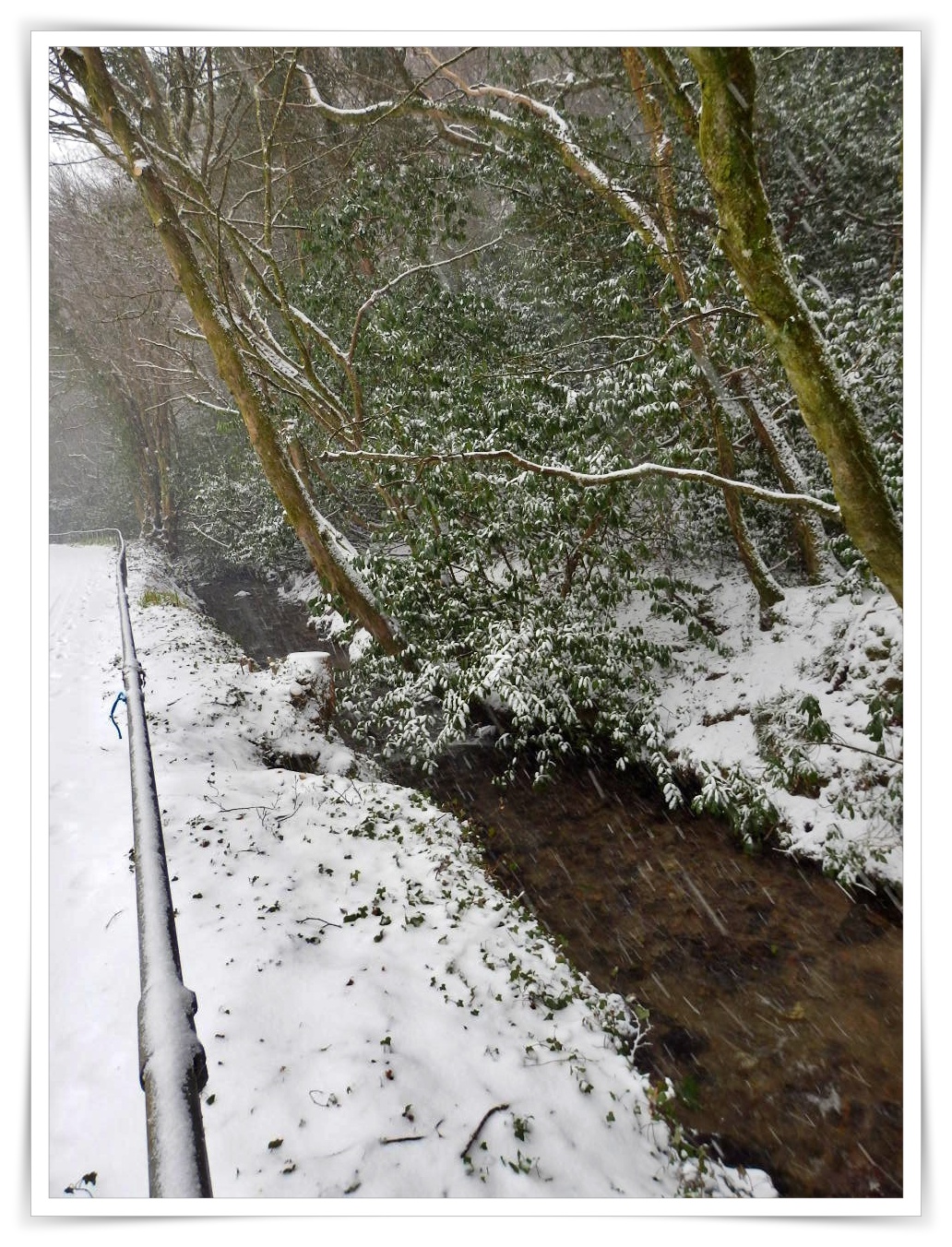 Mike's Cornwall Snow In Cornwall