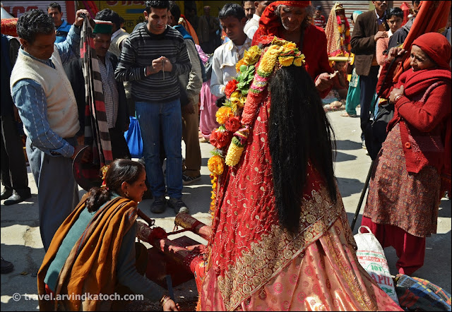 Mandi, Shivratri, Festival,