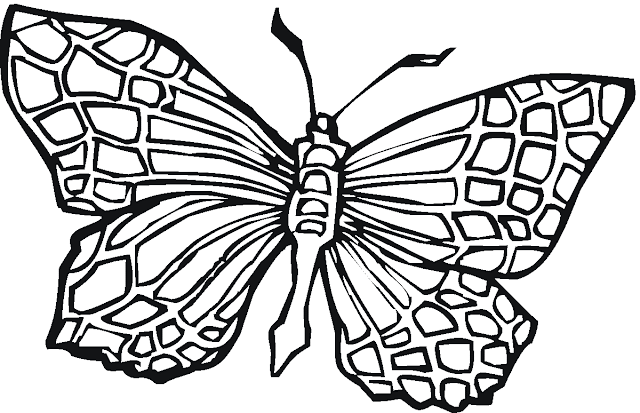 Butterfly Coloring Drawing Free wallpaper