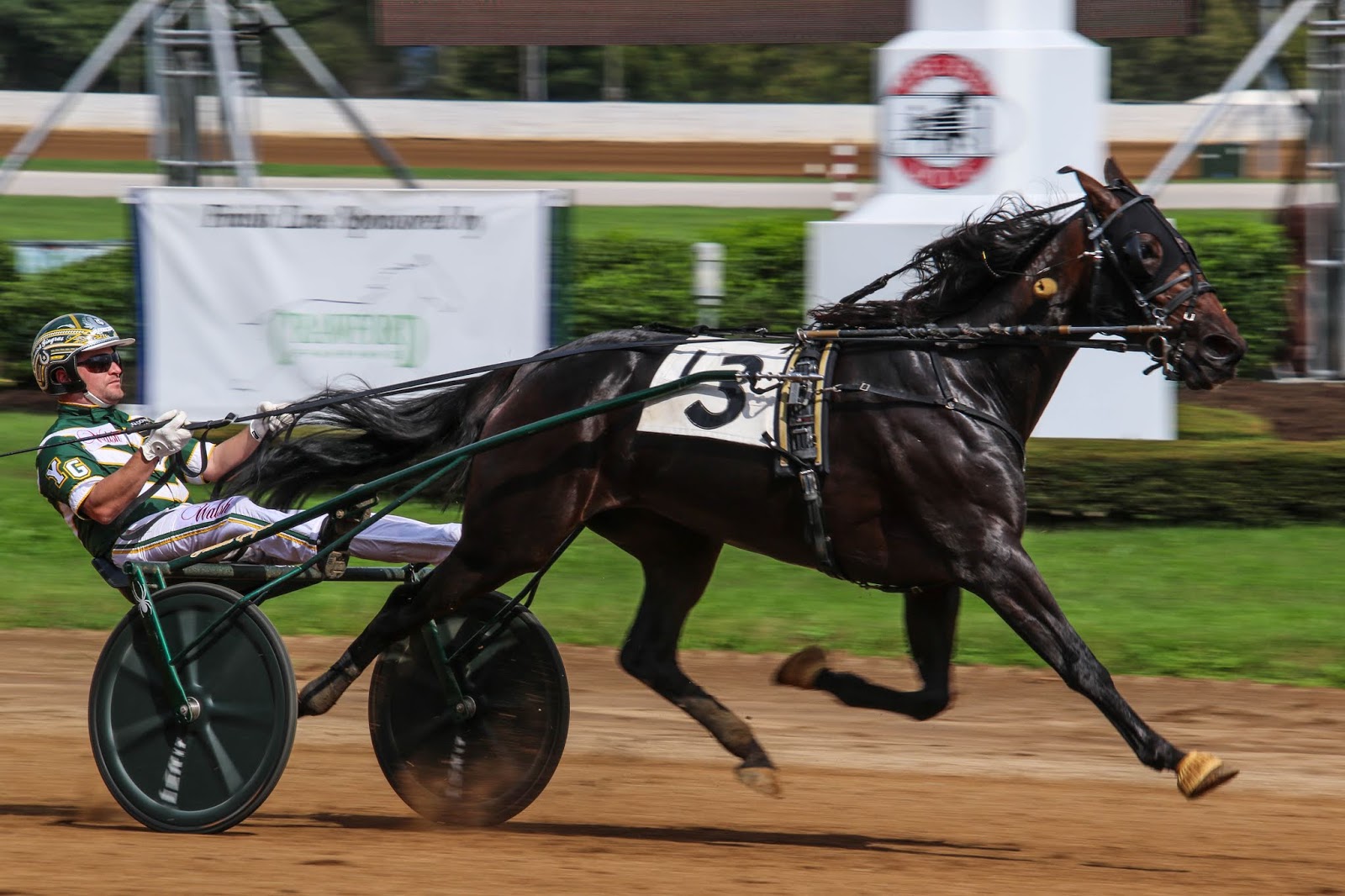 Harness Racing in the UK March 2019