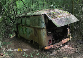 The 1965 VW Kombi bus spent 40-plus years in these woods.