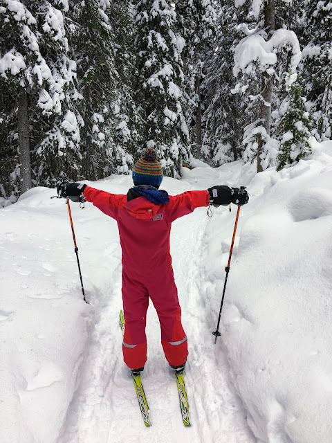 Family Adventures in the Canadian Rockies: Family Backcountry Ski ...