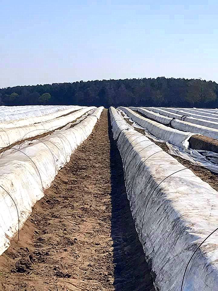 Kultur In Iberty Eine Ubersicht Iberty