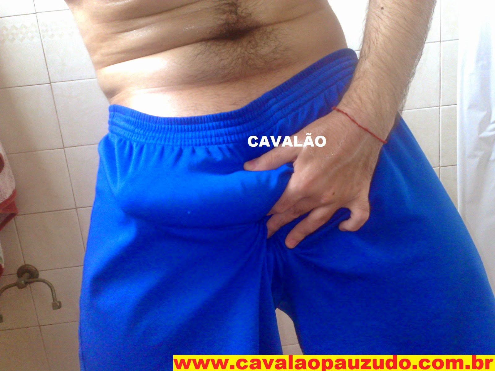 http://www.lojacavalaopauzudo.com.br/2013/12/web-cam.html