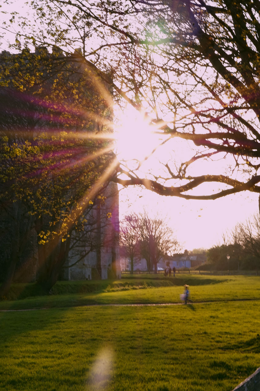 The Mystic Path to Cosmic Power: Vernon Linwood Howard