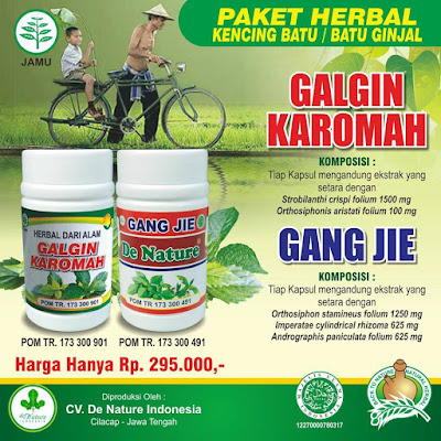 OBAT HERBAL KENCING BATU/BATU GINJAL