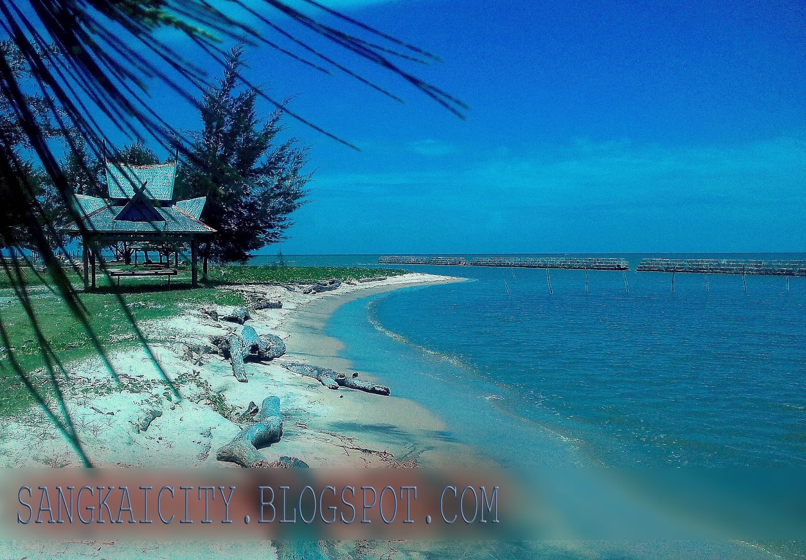 Objek Wisata Pantai Teluk Bogam, Kotawaringin Barat | Sangkay City