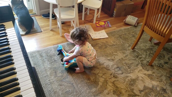 Dad Captured A Video Of His Daughter Dancing To Their Dog Playing The Piano Dad Captured A Video Of His Daughter Dancing To Their Dog Playing The Piano