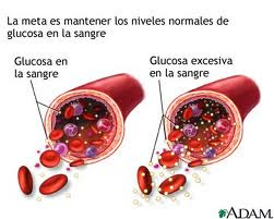 La Glucosa, el combustible del cuerpo humano.