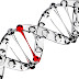Dioksiribonukleat (DNA) dan Asam Ribonukleat (RNA)