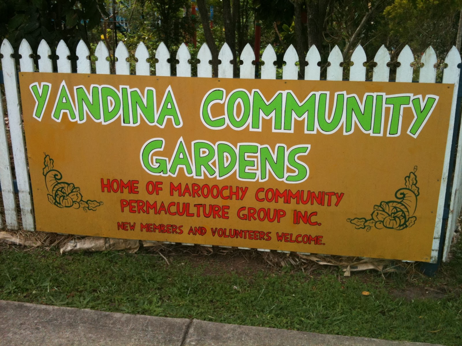 Camden Community Garden Have we been to your garden?