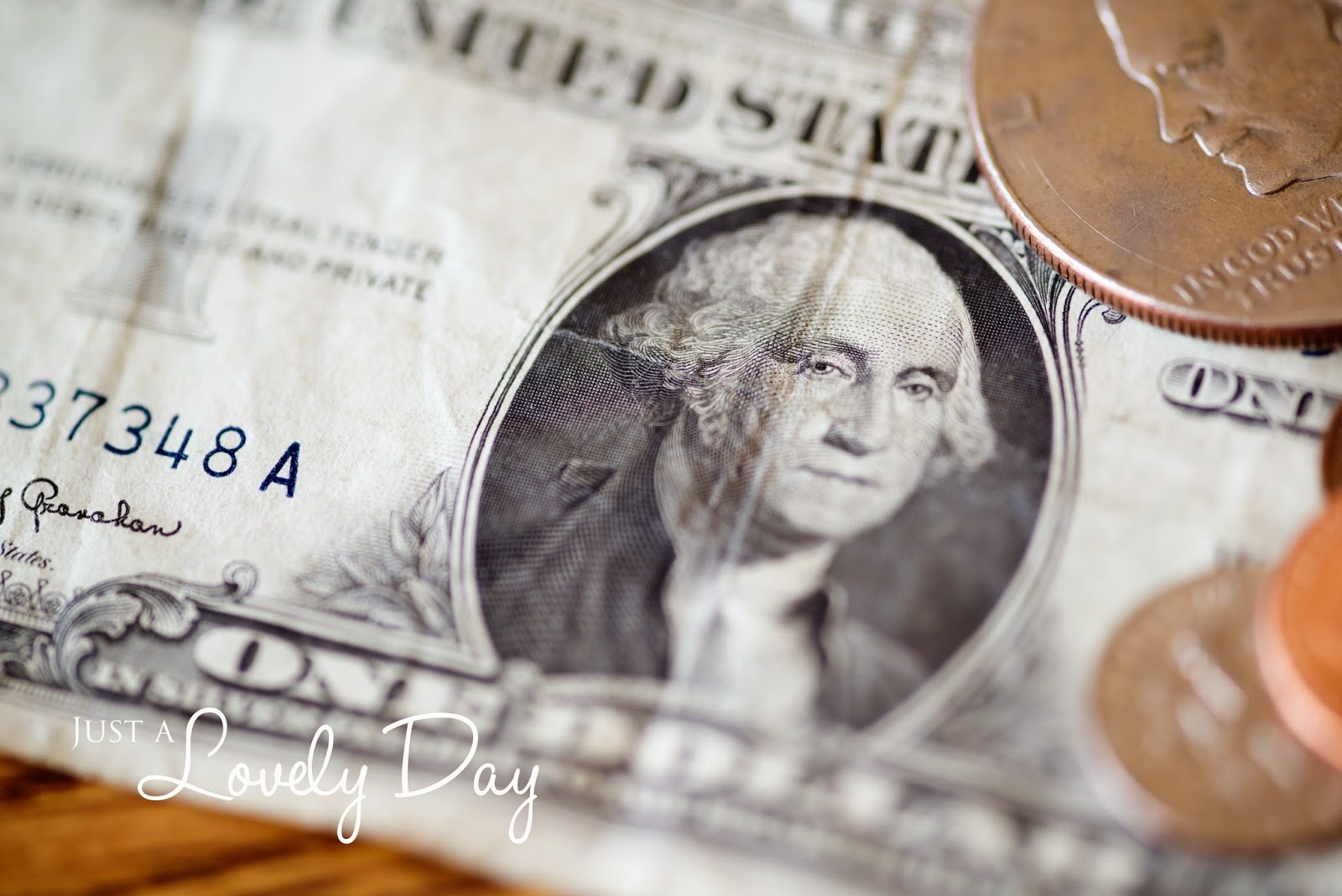 How much should Organizing Cost? Just a Lovely Day