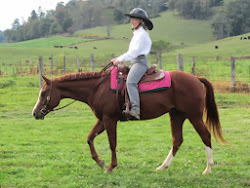 Invested N Hot Chips (Wrangler)