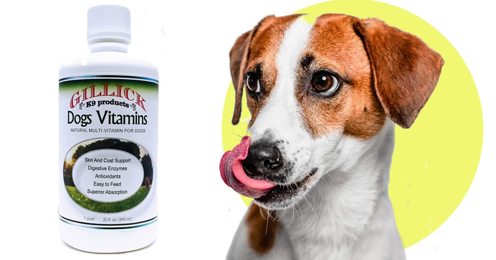 It's a Dog's World Should You Give Your Dog Vitamins?