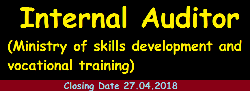 Internal Auditor - Ministry of skills development and vocational training 