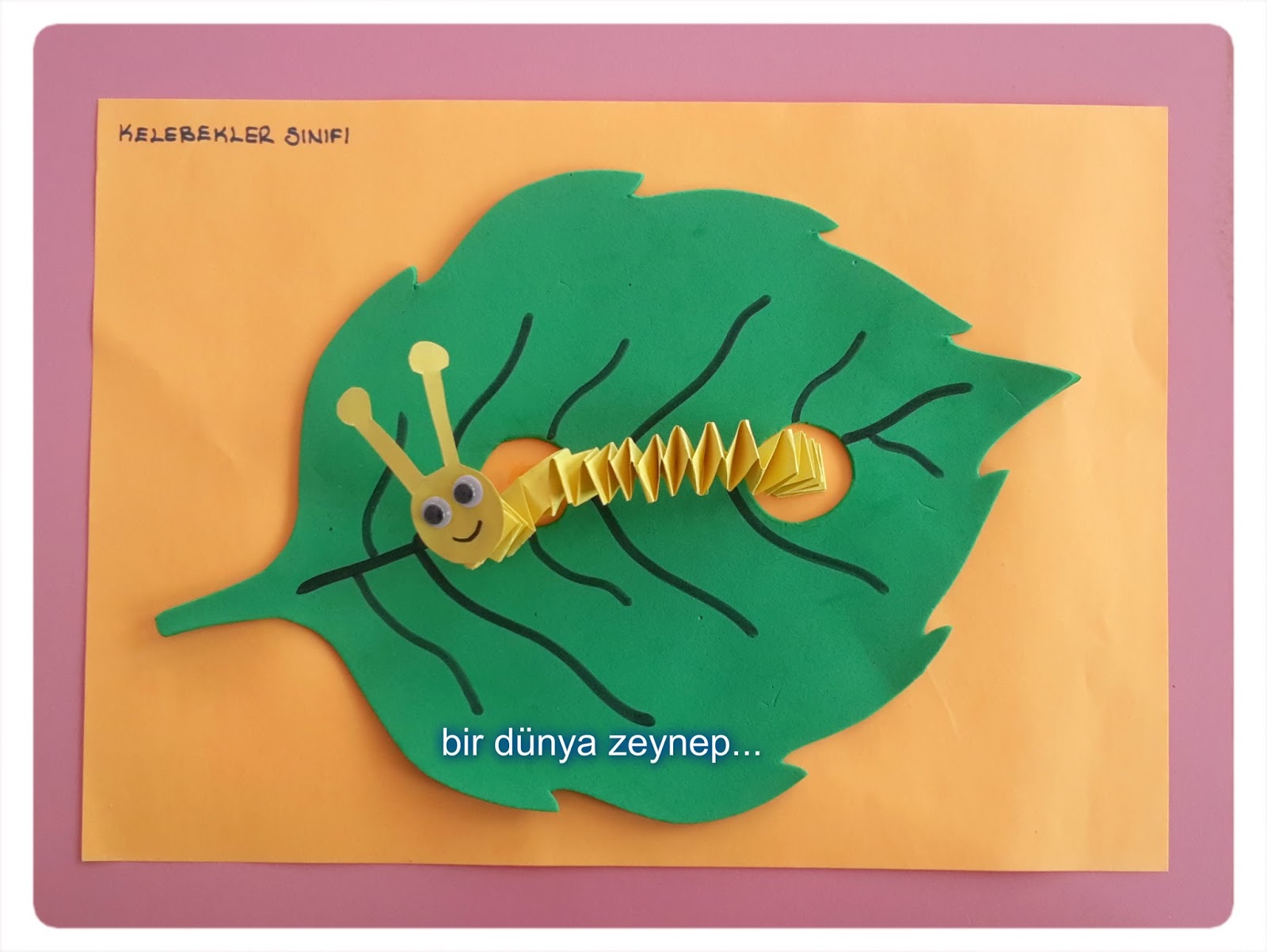 Bir Dunya Zeynep Kedi Merdiveni Tirtil Kolaj Kedi Tirtil