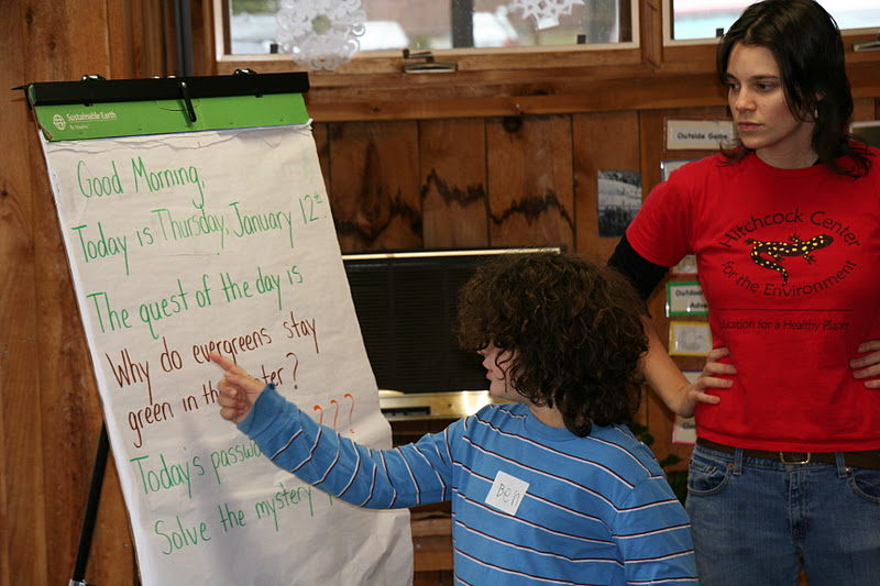 Hitchcock Center Homeschool Why Do Evergreens Stay Green In The Winter?